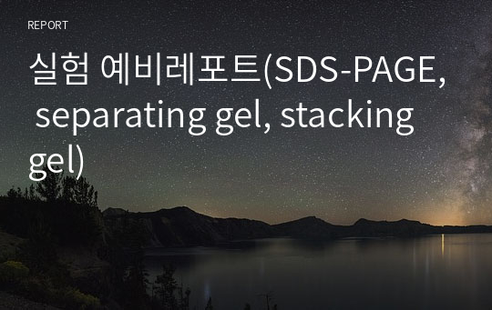 실험 예비레포트(SDS-PAGE, separating gel, stacking gel)