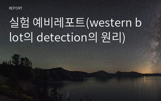 실험 예비레포트(western blot의 detection의 원리)