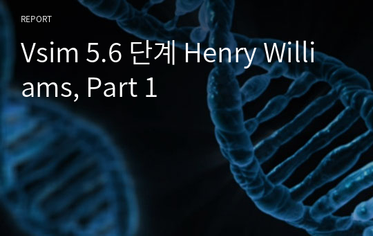 Vsim 5.6 단계 Henry Williams, Part 1
