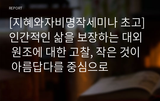 [A+에세이] 지자세 작은 것이 아름답다_ 인간적인 삶을 보장하는 대외 원조에 대한 고찰