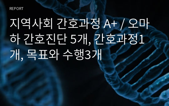 지역사회 간호과정 A+ / 오마하 간호진단 5개, 간호과정1개, 목표와 수행3개