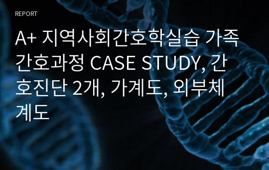 A+ 지역사회간호학실습 가족간호과정 CASE STUDY, 간호진단 2개, 가계도, 외부체계도