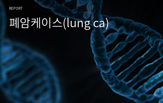폐암케이스(lung ca)