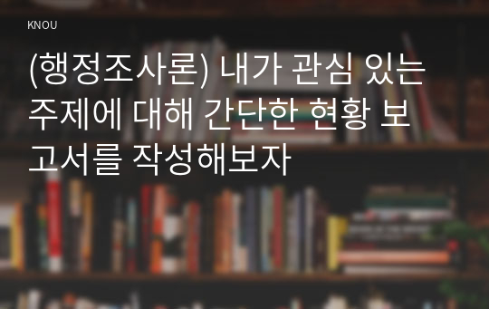 (행정조사론) 내가 관심 있는 주제에 대해 간단한 현황 보고서를 작성해보자