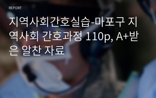 지역사회간호실습-마포구 지역사회 간호과정 110p, A+받은 알찬 자료