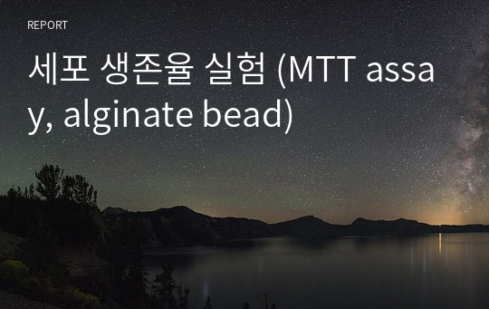 세포 생존율 실험 (MTT assay, alginate bead)