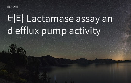 베타 Lactamase assay and efflux pump activity