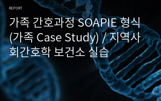 가족 간호과정 SOAPIE 형식 (가족 Case Study) / 지역사회간호학 보건소 실습