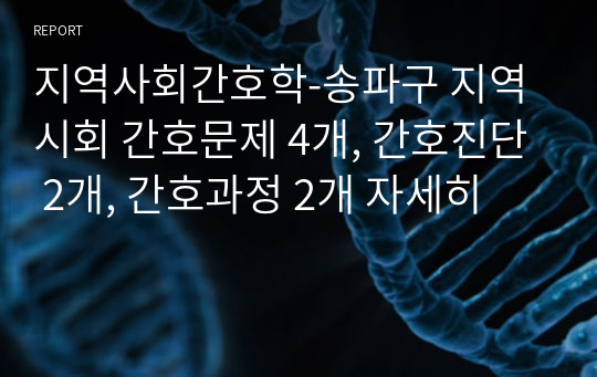 지역사회간호학-송파구 지역시회 간호문제 4개, 간호진단 2개, 간호과정 2개 자세히