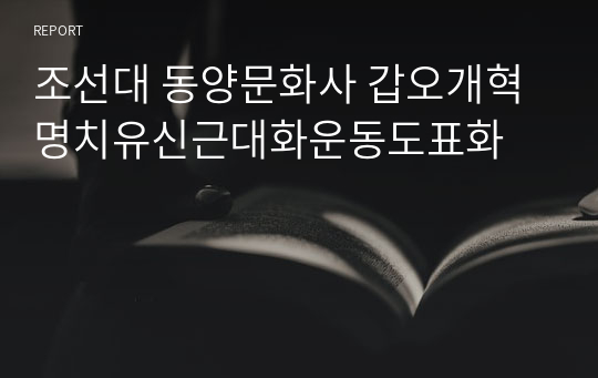 조선대 동양문화사 갑오개혁명치유신근대화운동도표화