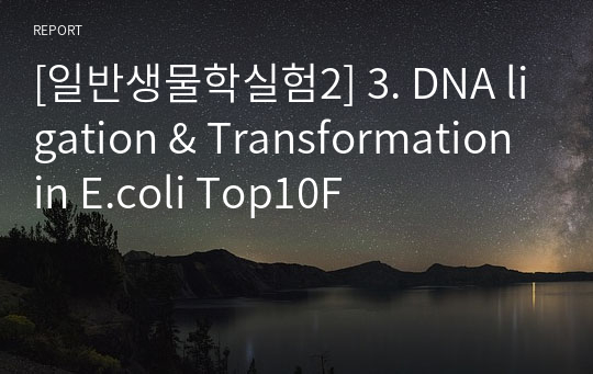 [일반생물학실험2] 3. DNA ligation &amp; Transformation in E.coli Top10F