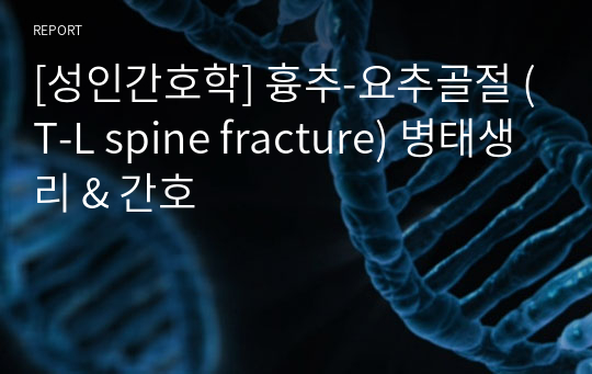 [성인간호학] 흉추-요추골절 (T-L spine fracture) 병태생리 &amp; 간호