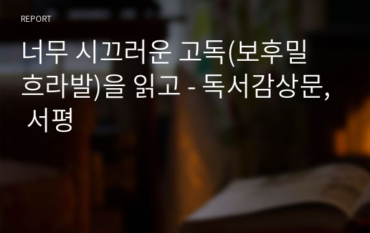 너무 시끄러운 고독(보후밀 흐라발)을 읽고 - 독서감상문, 서평