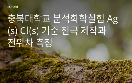 사이플러스 분석화학실험_은(Ag), 염화은(AgCl) 기준 전극 제작과 전위차 측정