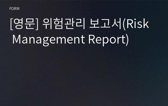 [영문] 위험관리 보고서(Risk Management Report)