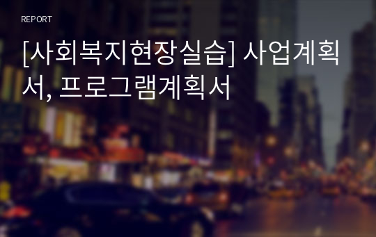 [사회복지현장실습] 사업계획서, 프로그램계획서