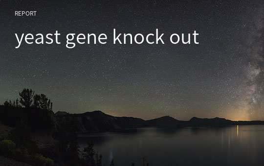 yeast gene knock out