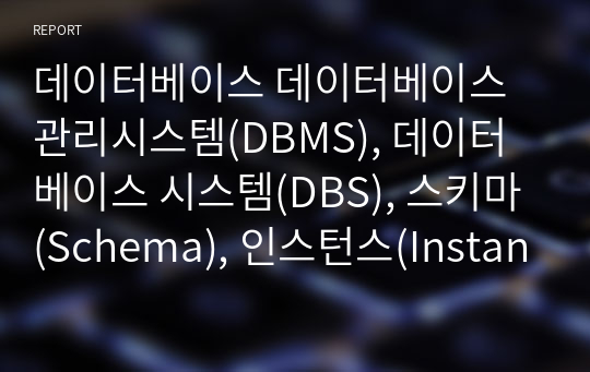 데이터베이스 데이터베이스 관리시스템(DBMS), 데이터베이스 시스템(DBS), 스키마(Schema), 인스턴스(Instance)