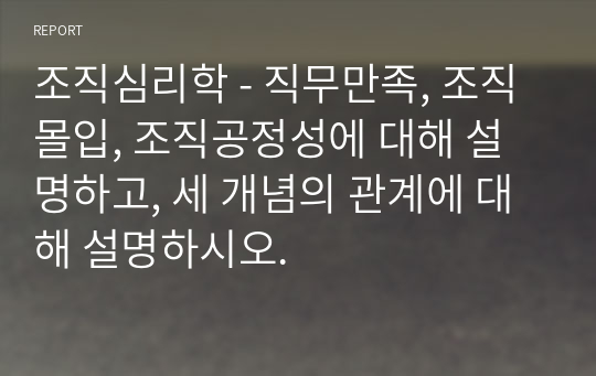 조직심리학 - 직무만족, 조직몰입, 조직공정성에 대해 설명하고, 세 개념의 관계에 대해 설명하시오.