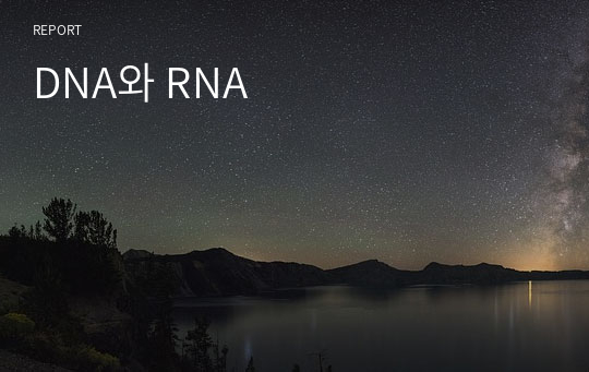 DNA와 RNA