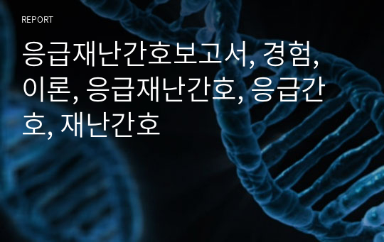 응급재난간호보고서, 경험, 이론, 응급재난간호, 응급간호, 재난간호