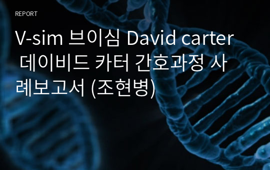 V-sim 브이심 David carter 데이비드 카터 간호과정 사례보고서 (조현병)