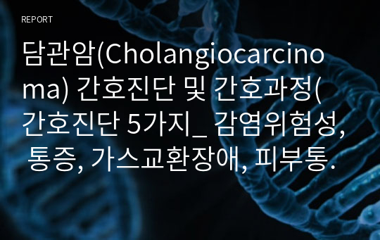 담관암(Cholangiocarcinoma) 간호진단 및 간호과정(간호진단 5가지_ 감염위험성, 통증, 가스교환장애, 피부통합성 손상 위험성, 불안)