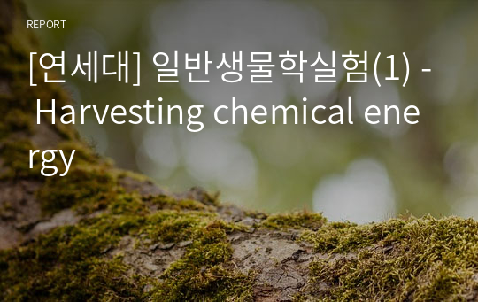 [연세대] 일반생물학실험(1) - Harvesting chemical energy