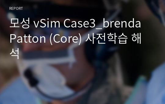 모성 vSim Case3_brenda Patton (Core) 사전학습 해석