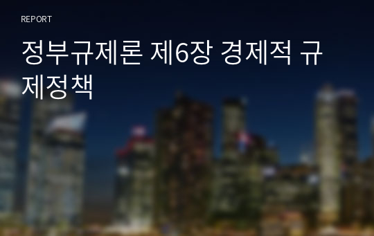 정부규제론 제6장 경제적 규제정책