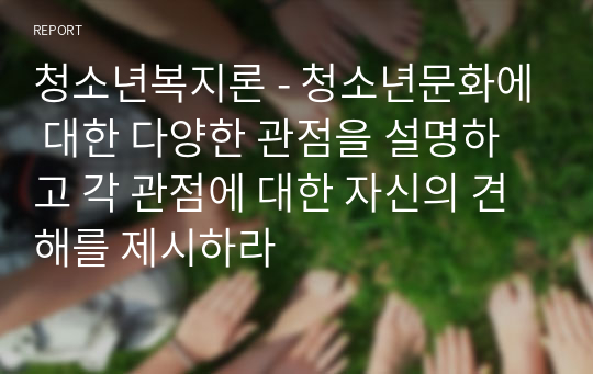 청소년복지론 - 청소년문화에 대한 다양한 관점을 설명하고 각 관점에 대한 자신의 견해를 제시하라