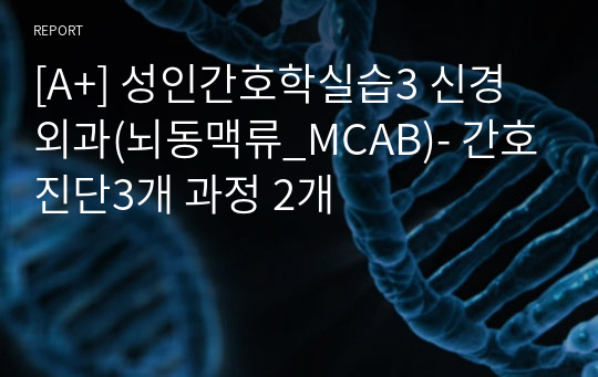 [A+] 성인간호학실습3 신경외과(뇌동맥류_MCAB)- 간호진단3개 과정 2개