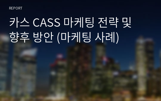 카스 CASS 마케팅 전략 및 향후 방안 (마케팅 사례)
