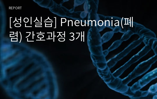 [성인실습] Pneumonia(폐렴) 간호과정 3개