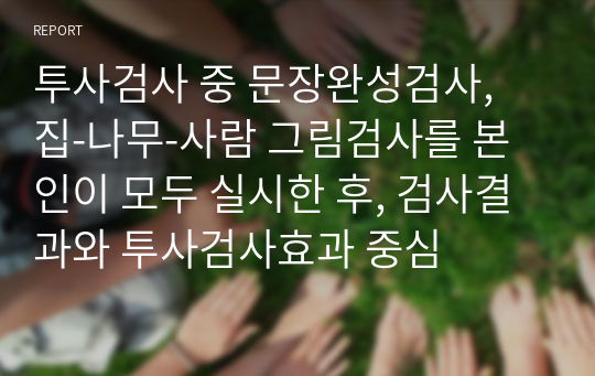 투사검사 중 문장완성검사, 집-나무-사람 그림검사를 본인이 모두 실시한 후, 검사결과와 투사검사효과 중심