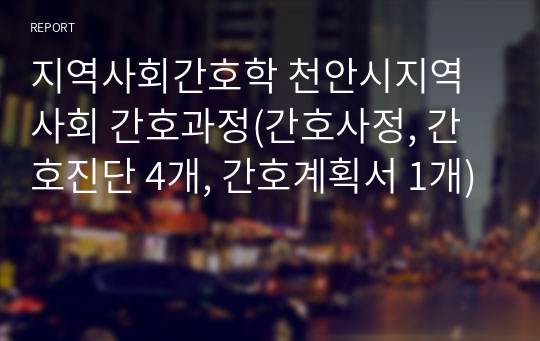 지역사회간호학 천안시지역사회 간호과정(간호사정, 간호진단 4개, 간호계획서 1개)