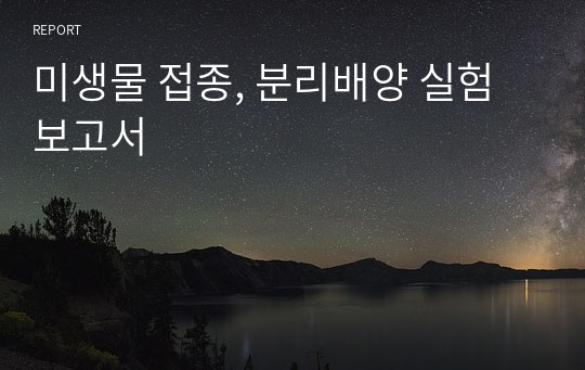 미생물 접종, 분리배양 실험보고서