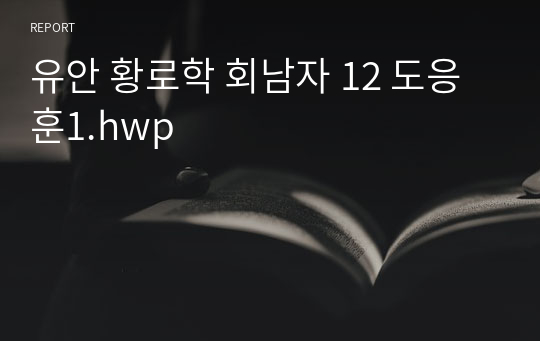 유안 황로학 회남자 12 도응훈1.hwp