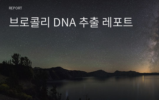 브로콜리 DNA 추출 레포트