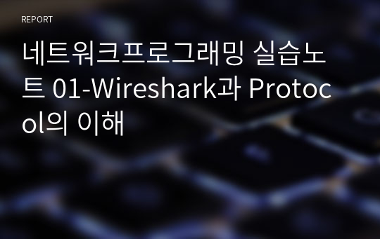 네트워크프로그래밍 실습노트 01-Wireshark과 Protocol의 이해