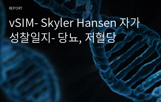 vSIM- Skyler Hansen 자가성찰일지- 당뇨, 저혈당