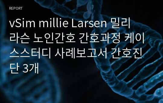 vSim millie Larsen 밀리 라슨 노인간호 간호과정 케이스스터디 사례보고서 간호진단 3개