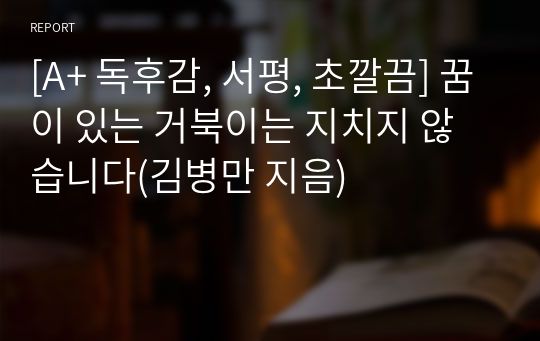 [A+ 독후감, 서평, 초깔끔] 꿈이 있는 거북이는 지치지 않습니다(김병만 지음)