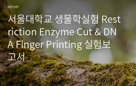 서울대학교 생물학실험 Restriction Enzyme Cut &amp; DNA Finger Printing 실험보고서