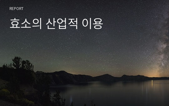 효소의 산업적 이용