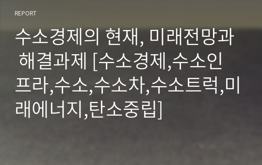 수소경제의 현재, 미래전망과 해결과제 [수소경제,수소인프라,수소,수소차,수소트럭,미래에너지,탄소중립]