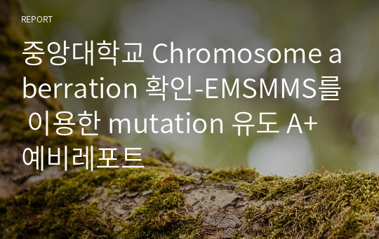 중앙대학교 Chromosome aberration 확인-EMSMMS를 이용한 mutation 유도 A+ 예비레포트