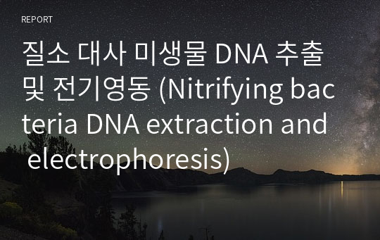 질소 대사 미생물 DNA 추출 및 전기영동 (Nitrifying bacteria DNA extraction and electrophoresis)