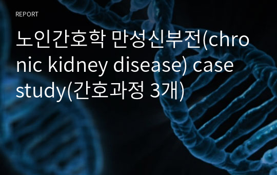 노인간호학 만성신부전(chronic kidney disease) case study(간호과정 3개)