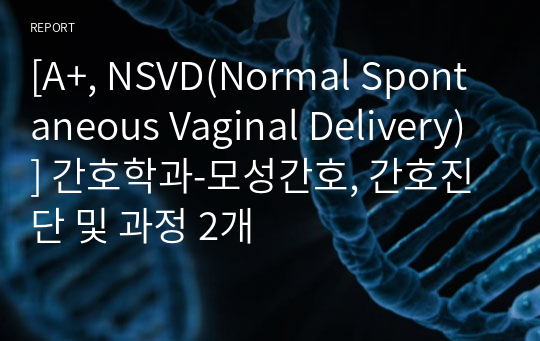 [A+, NSVD(Normal Spontaneous Vaginal Delivery)] 간호학과-모성간호, 간호진단 및 과정 2개